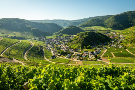Ahrtal: Tourismus nimmt weiter Fahrt auf